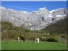 Picos de Europa